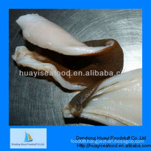 High quality geoduck clam
